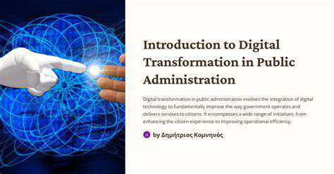 TheImperativeforDigitalTransformationinPublicAdministration