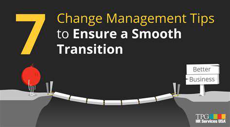 AddressingtheChallengesandEnsuringaSmoothTransition