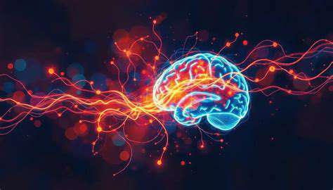 BrainImagingandAI:UnveilingtheNeuralMechanismsofLearning